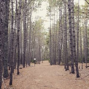 Meet your Posher, Edwina